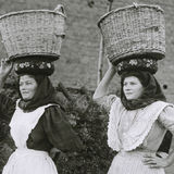 Abbildng: Platzhalter