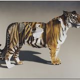 Abbildng: Platzhalter