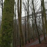 Abbildng: Platzhalter