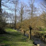 Abbildng: Platzhalter