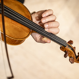 Abbildng: Platzhalter