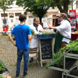 Abbildng: Platzhalter
