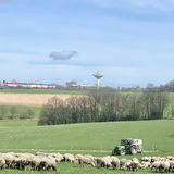 Abbildng: Platzhalter