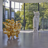 Abbildng: Platzhalter