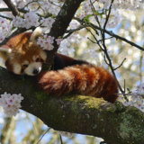 Abbildng: Platzhalter