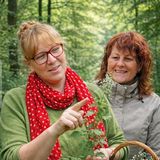 Abbildng: Platzhalter