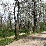 Abbildng: Platzhalter