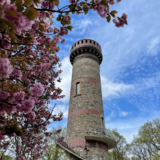 Abbildng: Platzhalter