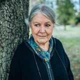 Abbildng: Platzhalter