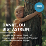 Abbildng: Platzhalter