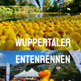 Abbildng: Platzhalter