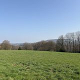 Platzhalter