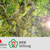 Abbildng: Platzhalter