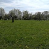 Platzhalter
